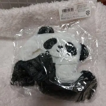 팬더 코스튬