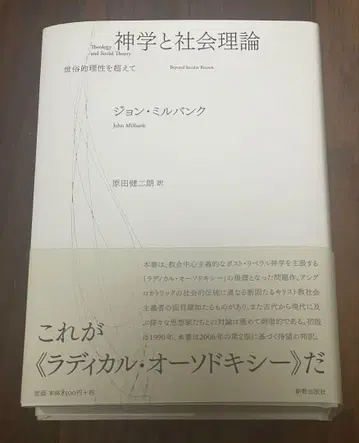 신학과 사회 이론 : 세속적 이성을 넘어서