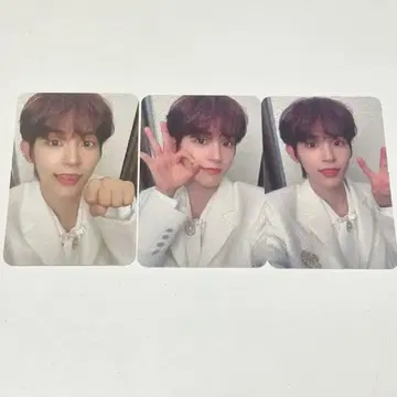 소원 서원 신기루 트레이딩 카드