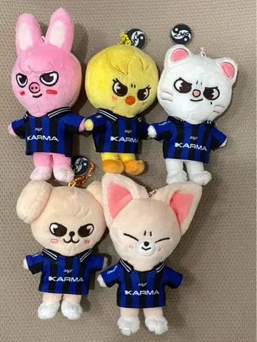 SKZOO karma 포가리 돼끼 지니레트 폭시니 파핌
