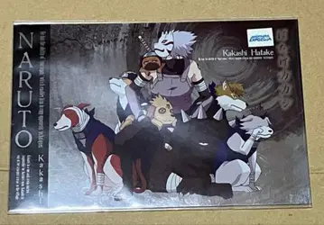 NARUTO 카카시 엽서 나루토