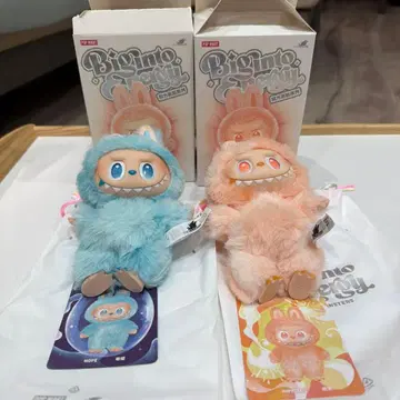 POP MART 러브브 2체 세트 에너지