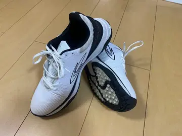 티고라 골프화