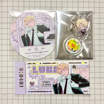 에이스테 아니카페