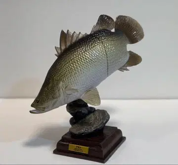 네이처 테크니컬러 이키몬 일본의 청류 가챠 아카메