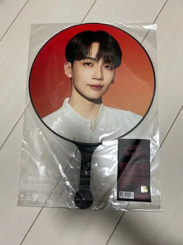 SEVENTEEN 정한 부채 be the sun