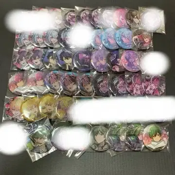 시쿠포니 묶음 판매