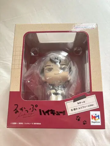 하이큐 룩업 키타 신스케