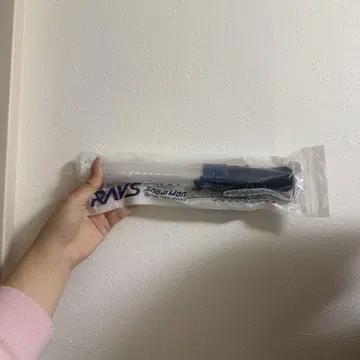 RAYS 응원봉