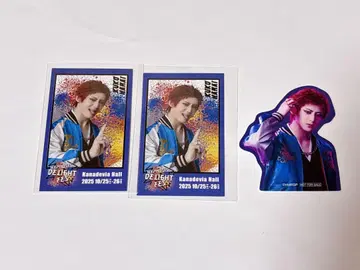 힙스테 감사제 하라이 쿠코