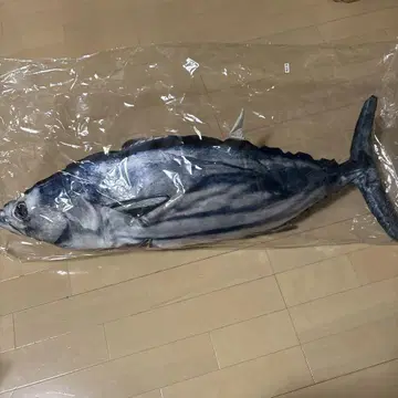 가쓰오 봉제 인형 약 90cm