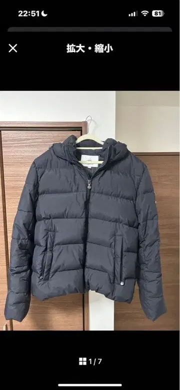 피레넥스 스푸트니크 L