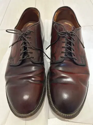 알든 코도반 플레인토 53501