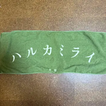 하루카미라이 타월 1