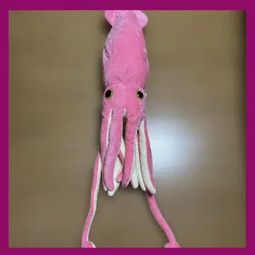 핑크의 축 늘어지는 대왕오징어 3 100cm 이상