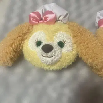 쿠키앤 머리띠 패스 케이스 세트