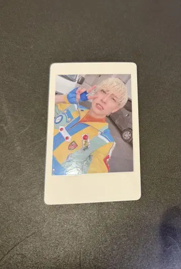 1 팬더 드래곤 파라곤 하피카 폴라로이드 요우타