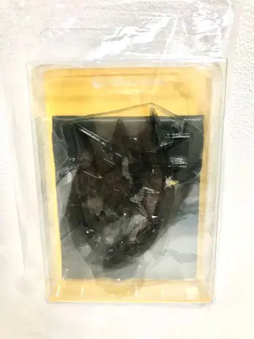 포켓몬 액세서리 다이컷 키라키라 거울 악 타입 테라스탈 블래키