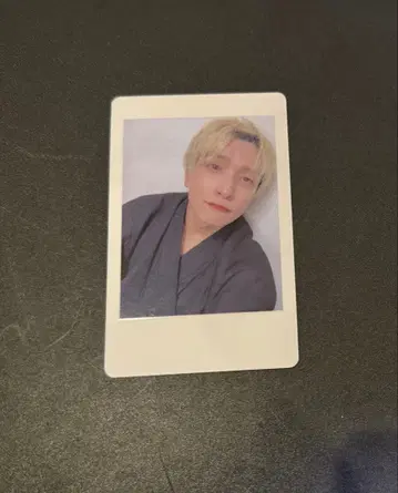 9 팬더 드래곤 파라곤 하피카 폴라로이드 요우타