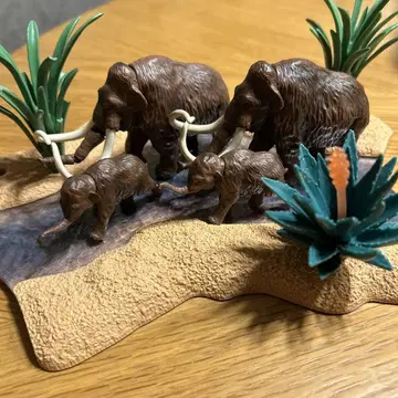 아니아 맘모스 부자 어린이 단종 대군