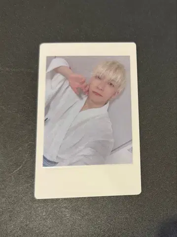 14 팬더 드래곤 파라곤 하피카 폴라로이드 요타