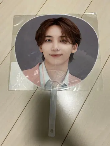 SEVENTEEN 정한 부채 HARE