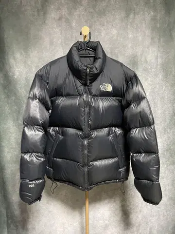 THE NORTH FACE 눕시 다운 자켓 700필