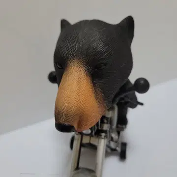 애니멀 라이더 곰