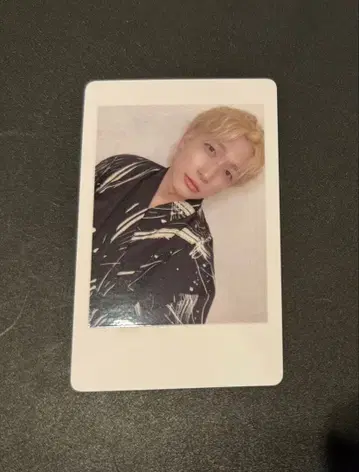 23 팬더 드래곤 파라곤 하피카 폴라로이드 요우타
