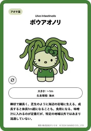 오사카 간사이 박람회 일본관 모키티 핀 배지 보아오노리