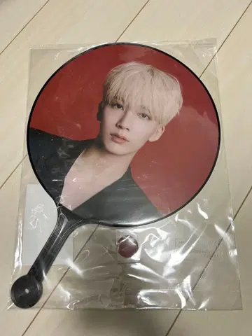 SEVENTEEN 정한 부채