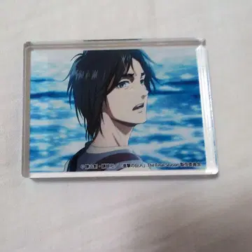 진격의 거인 아크릴 블록 엘렌 예거