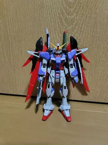 RG 데스티니 건담 기본 조립 완성품