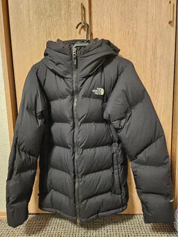 THE NORTH FACE/BELAYER PARKA