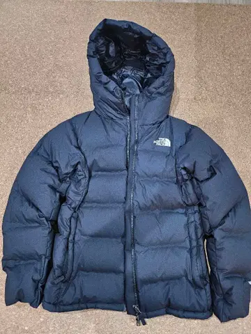 THE NORTH FACE/BELAYER PARKA