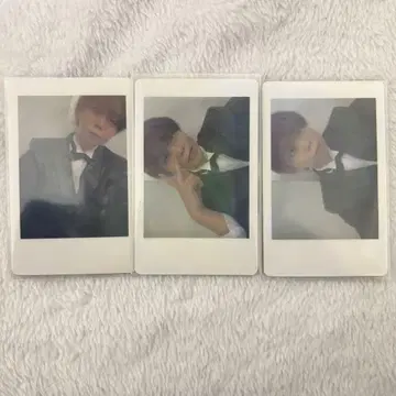 팬더드래곤 파라곤 아즈 하피카 폴라로이드