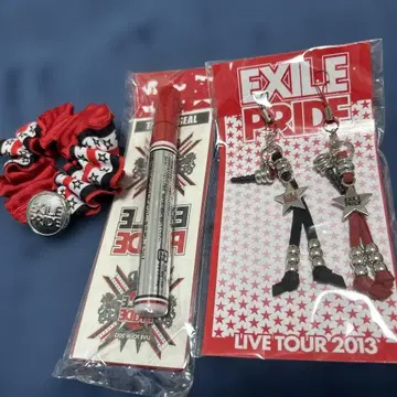 EXILE 2013