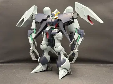 HG 바이아란 커스텀