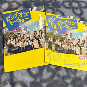 히나타자카46 젠부 오브 도쿄 팜플렛
