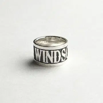 가면라이더 W WIND SCALE 반지 8호