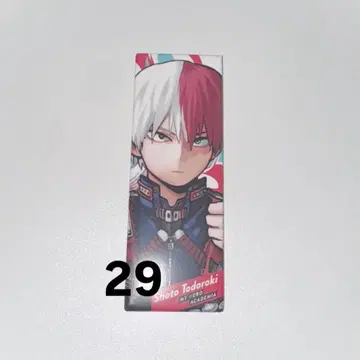 토도로키 쇼토 에후다 캔뱃지 29개