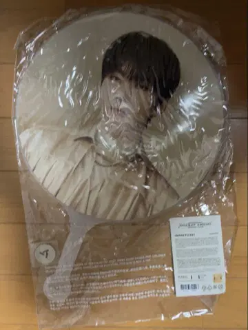 SEVENTEEN WONWOO Right Here 부채
