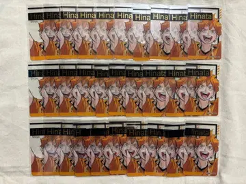 히나타 쇼요 금박 클리어 카드 컬렉션 하이큐