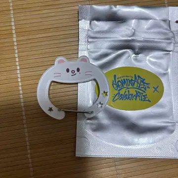 현진 카라비너