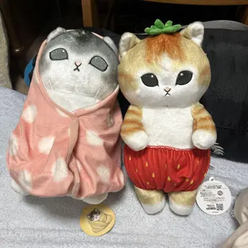 고양이 봉제 인형 세트