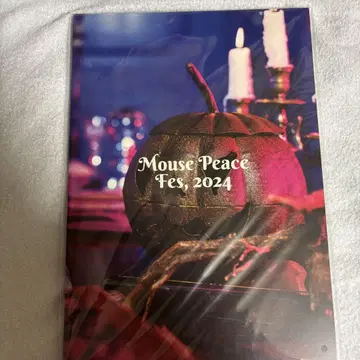 MOUSE PEACE FES 2024 1st Bite 팜플렛