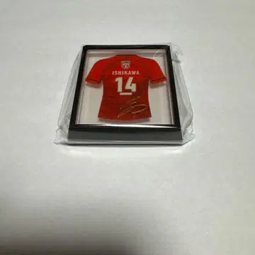 배구 남자 일본 대표 마그넷 이시카와