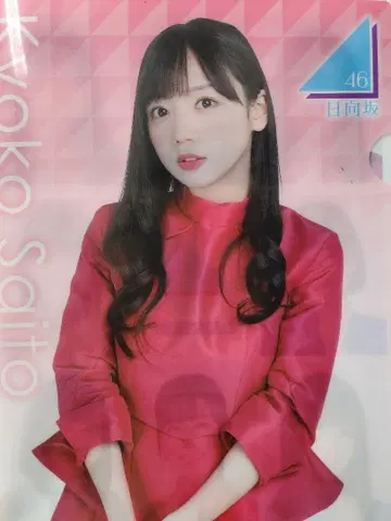 히나타자카46 클리어 파일 세트