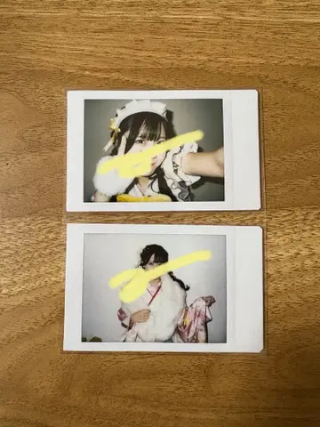 후쿠마루 우사 런치 폴라로이드