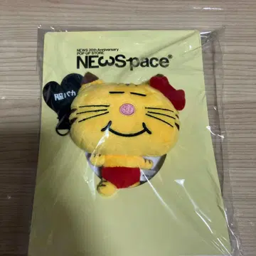 NEWSpace 고양이